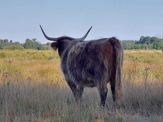 Casa per le vacanze Exloo Ambiente 39