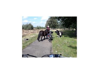 Casa per le vacanze Exloo Ambiente 40