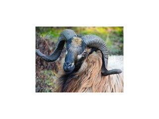 Casa de vacaciones Exloo Entorno 38