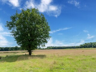 Casa per le vacanze Exloo Ambiente 28