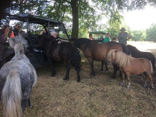 Holiday house Exloo Environment 29