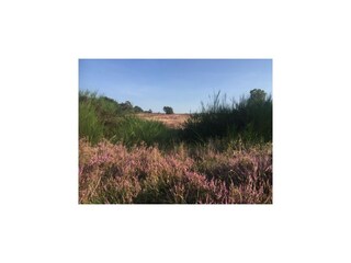 Maison de vacances Exloo Environnement 39