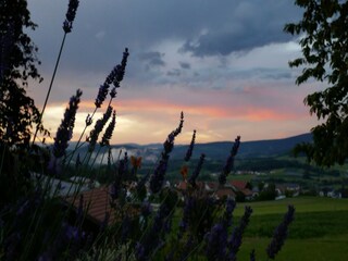 Appartement Sonnen Buitenaudio-opname 9