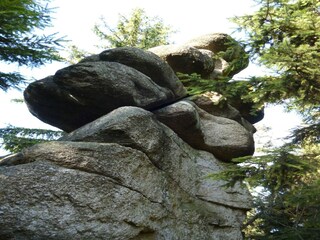 Apartamento Sonnen Entorno 33