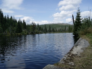 Apartment Sonnen Umgebung 30