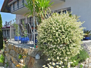 Apartment Sonnen  39