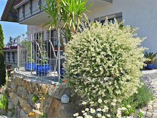Appartement Sonnen  39