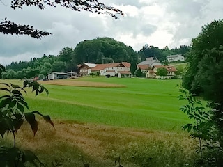 Appartement Sonnen Buitenaudio-opname 13