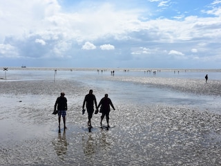Watt wandern