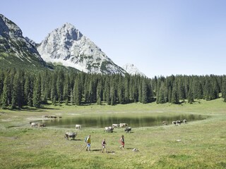 Holiday apartment Seefeld in Tirol Environment 30