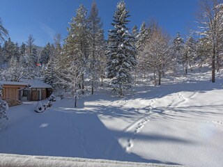 Vakantieappartement Seefeld in Tirol Buitenaudio-opname 12