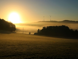 Herbstimpressionen, Ortsrand Lierfeld