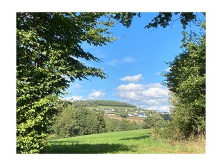 Natur pur und schöne Landschaft rund um Lierfeld