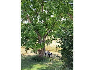 Vakantiehuis Lierfeld Buitenaudio-opname 11