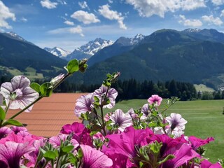 Appartamento per vacanze Hollersbach im Pinzgau Registrazione all'aperto 6