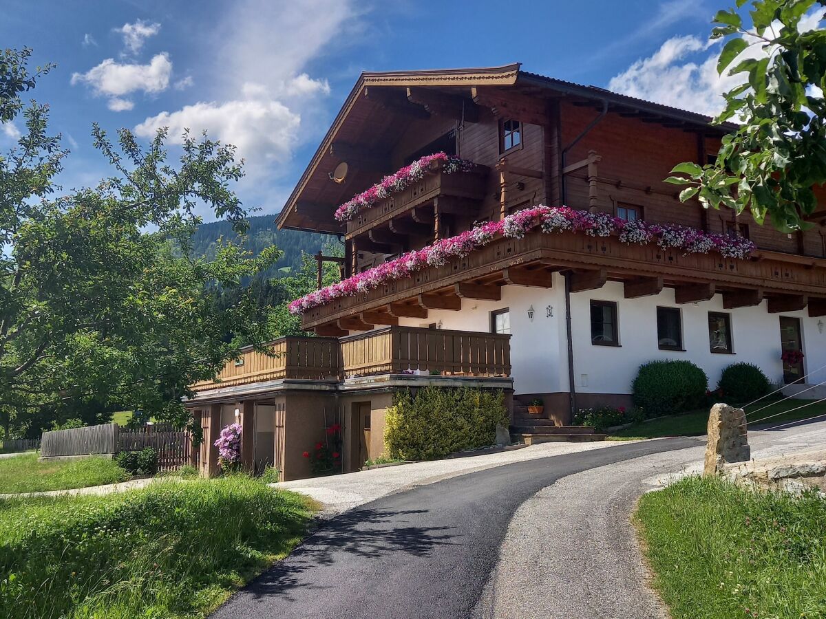 Appartamento per vacanze Hollersbach im Pinzgau Registrazione all'aperto 1