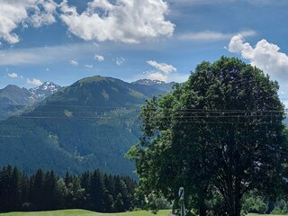 Appartamento per vacanze Hollersbach im Pinzgau Registrazione all'aperto 14