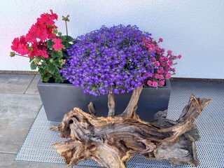 Appartamento per vacanze Hollersbach im Pinzgau Registrazione all'aperto 15