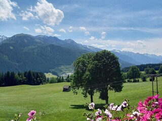 Appartamento per vacanze Hollersbach im Pinzgau Registrazione all'aperto 16
