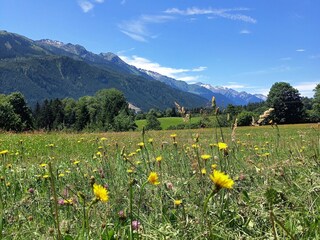 Appartamento per vacanze Hollersbach im Pinzgau Registrazione all'aperto 17