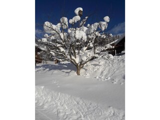 Appartamento per vacanze Hollersbach im Pinzgau Ambiente 28