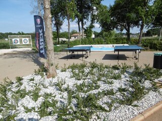 Appartamento per vacanze Funtana Ambiente 35