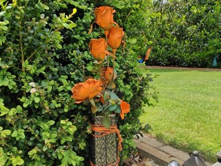 Gartendeko