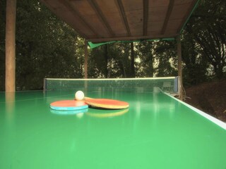 Casa per le vacanze Figline Valdarno  38