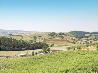 Maison de vacances Figline Valdarno Environnement 30