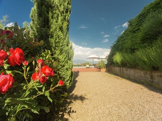 Vakantiehuis Figline Valdarno  39