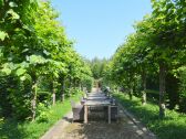 Casa de vacaciones Baarle-Nassau Grabación al aire libre 1