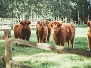 Casa per le vacanze Baarle-Nassau Ambiente 34