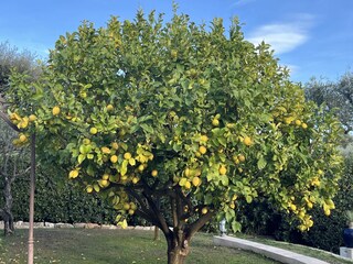 Holiday house Grimaud Outdoor Recording 20