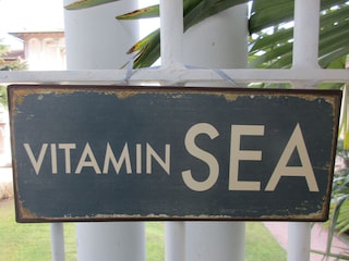 See-Vitamine
