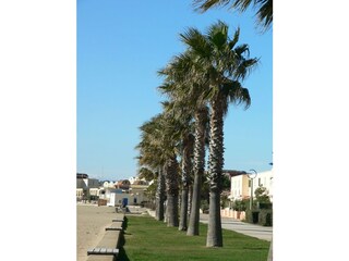 Casa per le vacanze Gruissan Ambiente 15