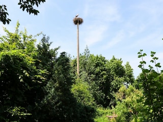 Apartment Altenpleen Außenaufnahme 5