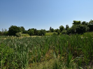 Apartamento Altenpleen Entorno 35