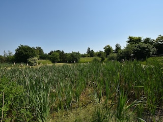 Apartment Altenpleen Umgebung 36