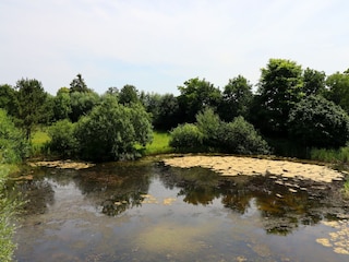 Apartment Altenpleen Außenaufnahme 8