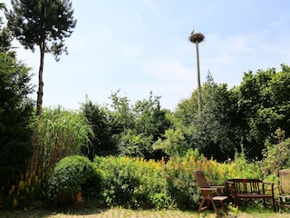 Apartment Altenpleen Außenaufnahme 9