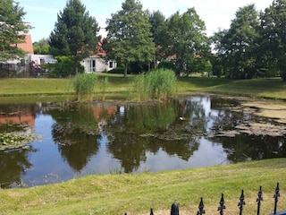 Blick aus dem Garten auf den Teich