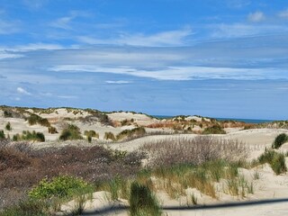 Dünenlandschaft Renesse