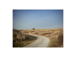 Vakantieappartement Hollum Omgeving 8