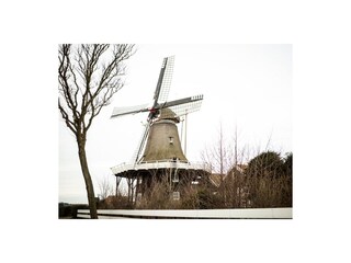 Vakantieappartement Hollum Omgeving 7