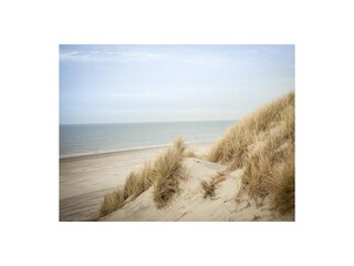 Vakantieappartement Hollum Omgeving 9