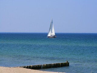 Apartment Bastorf Umgebung 31