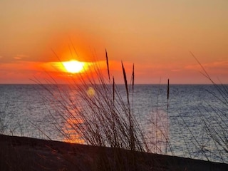 Appartement Bastorf Omgeving 37