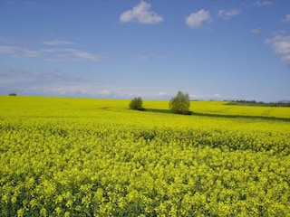 Apartment Bastorf Umgebung 30