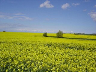 Appartement Bastorf Environnement 29