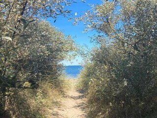 Apartment Bastorf Environment 27